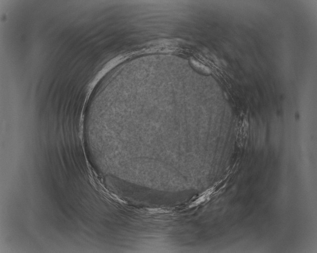 X0000081470100200702021842