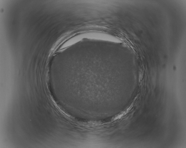 X0000081470101200702021842