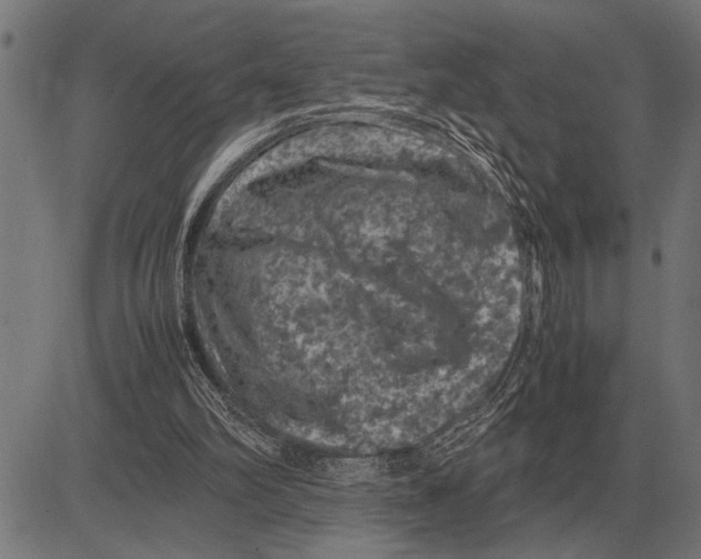 X0000081470102200702021842