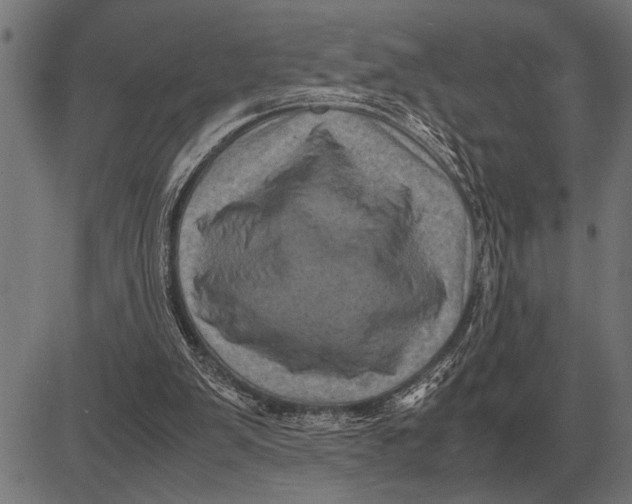 X0000081470103200702021842