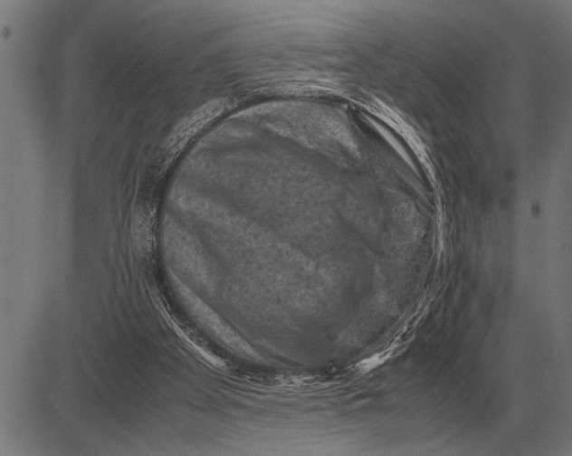 X0000081470105200702021842