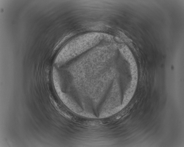 X0000081470106200702021842