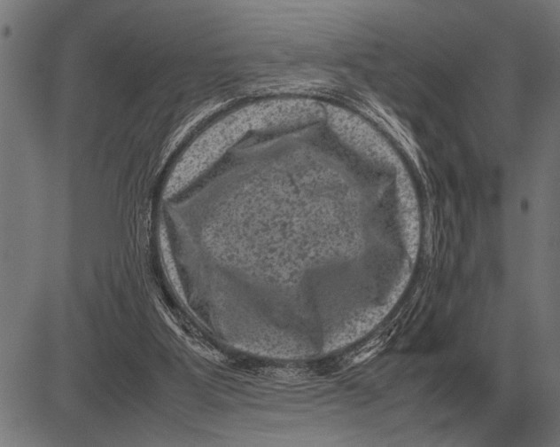 X0000081470107200702021842