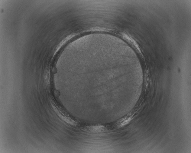 X0000081470108200702021842