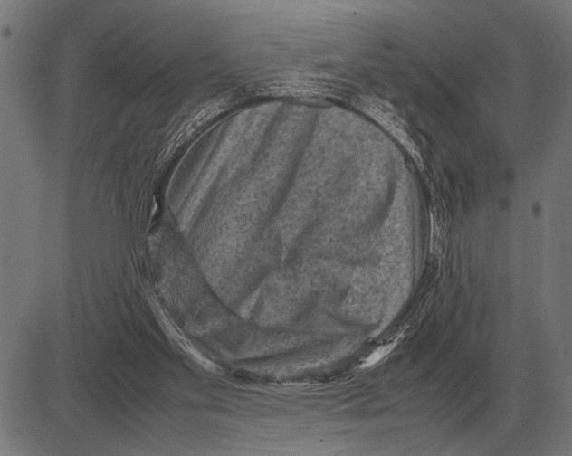 X0000081470109200702021842