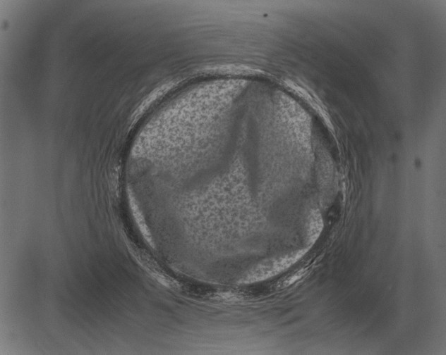 X0000081470111200702021842