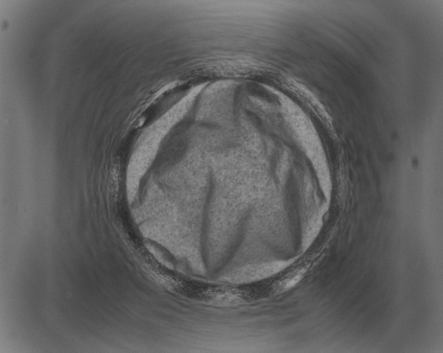 X0000081470113200702021842