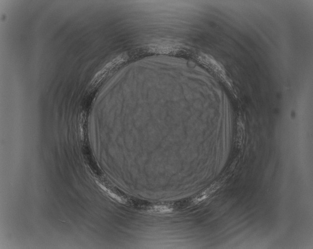 X0000081470114200702021842