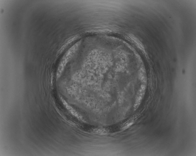 X0000081470115200702021842