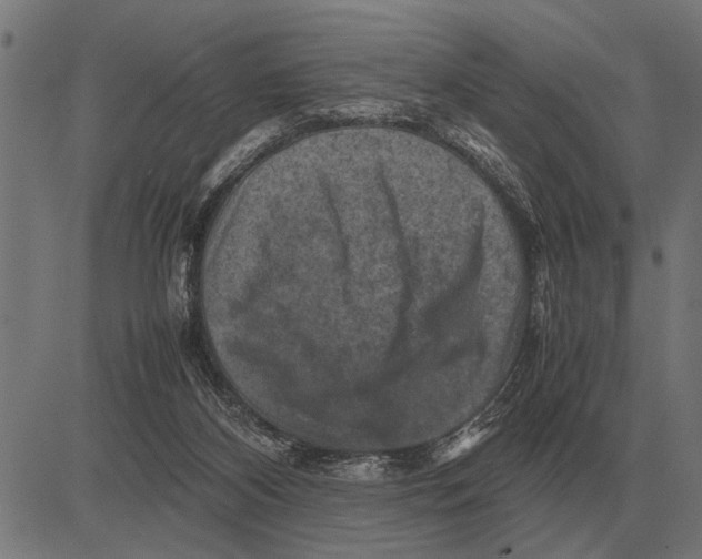 X0000081470116200702021842