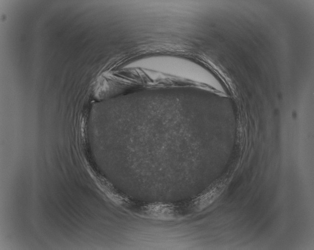 X0000081470117200702021842