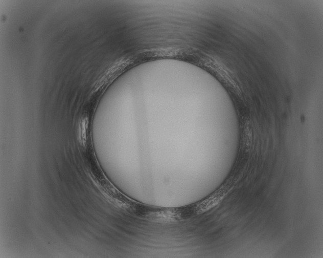 X0000081470118200702021842