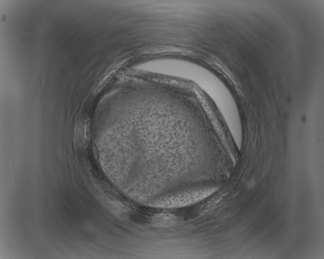 X0000081470119200702021842