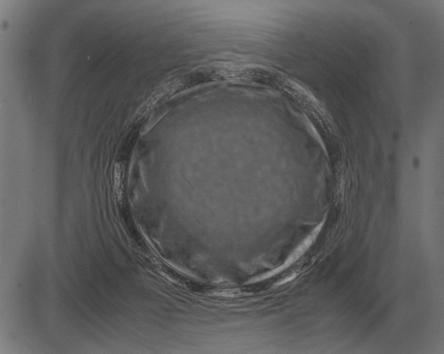 X0000081470121200702021842