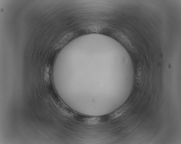 X0000081470122200702021842