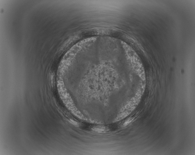 X0000081470123200702021842