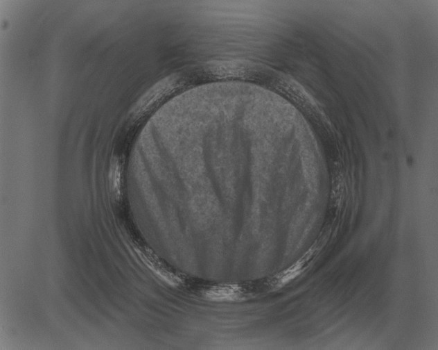 X0000081470124200702021842