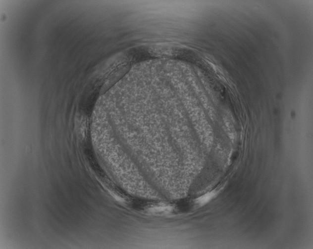 X0000081470125200702021842