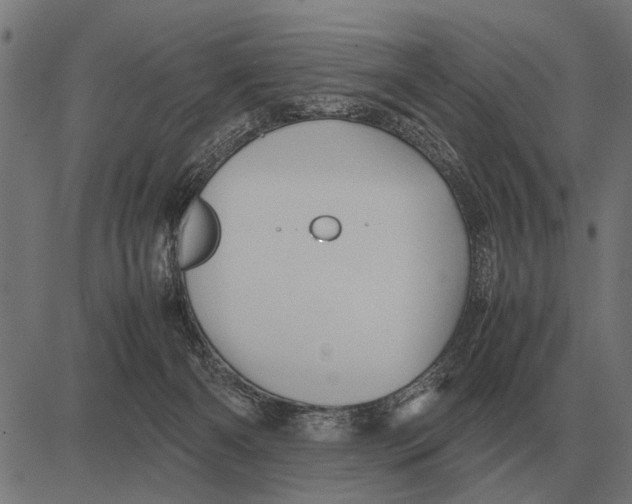 X0000081470126200702021842