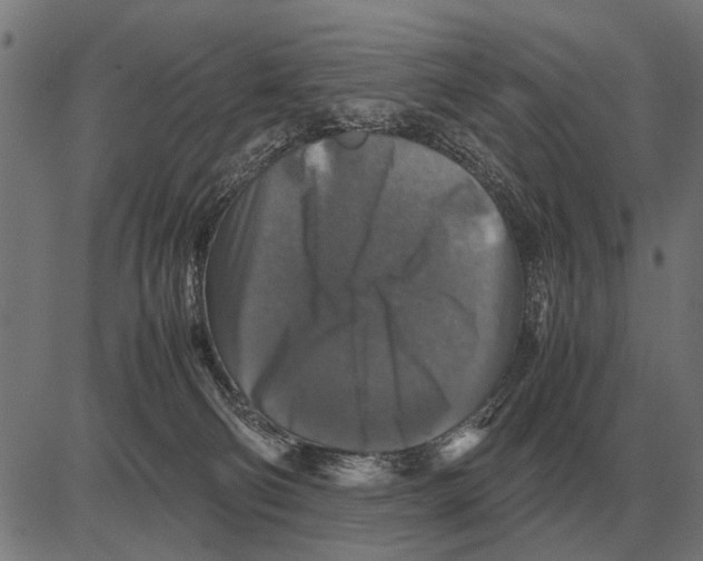 X0000081470130200702021842