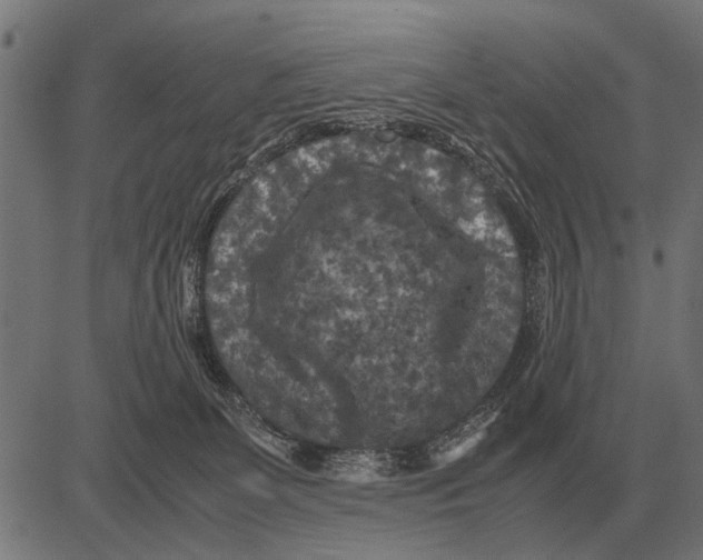 X0000081470131200702021842