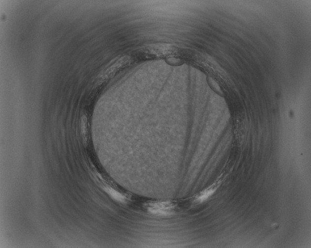 X0000081470132200702021842