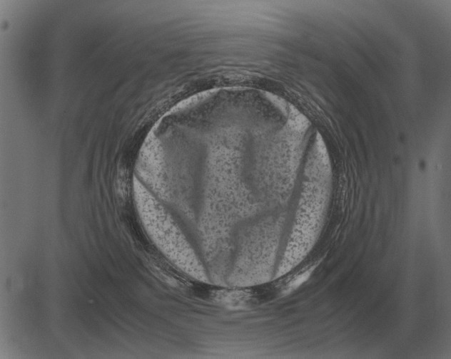 X0000081470135200702021842