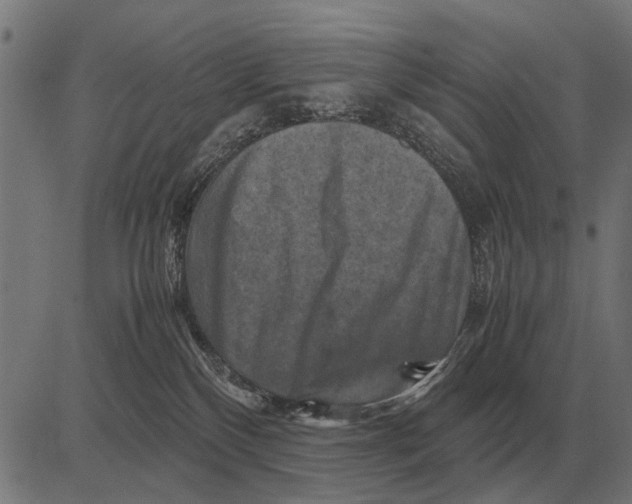 X0000081470136200702021842