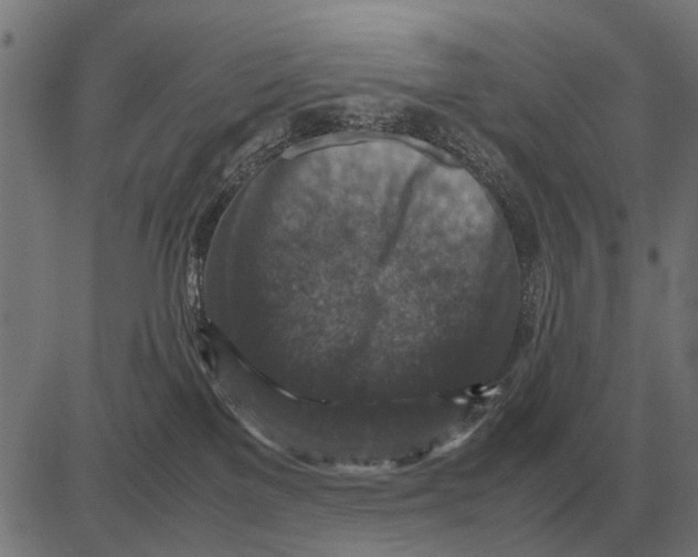 X0000081470137200702021842