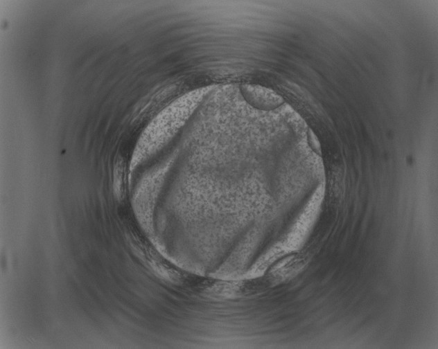 X0000081470138200702021842