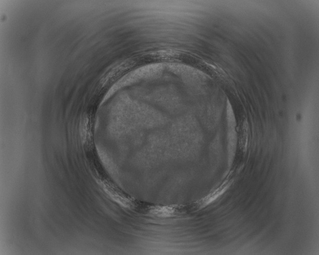 X0000081470140200702021842