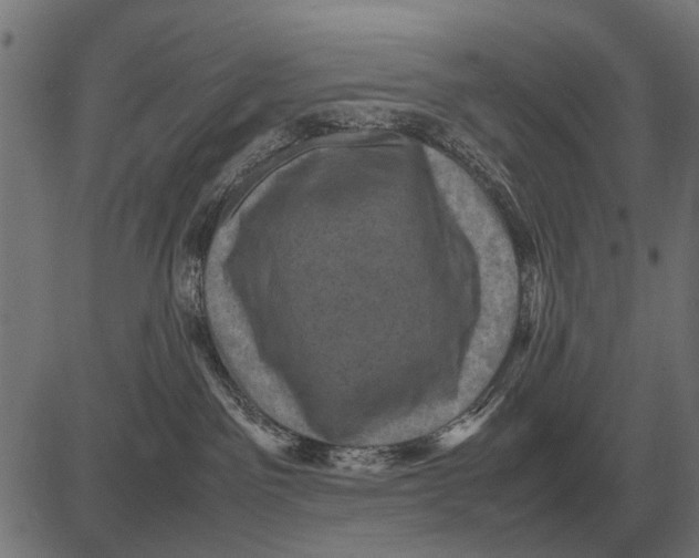 X0000081470141200702021842