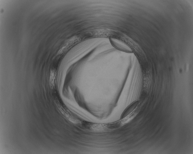 X0000081470142200702021841