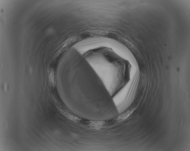 X0000081470143200702021841