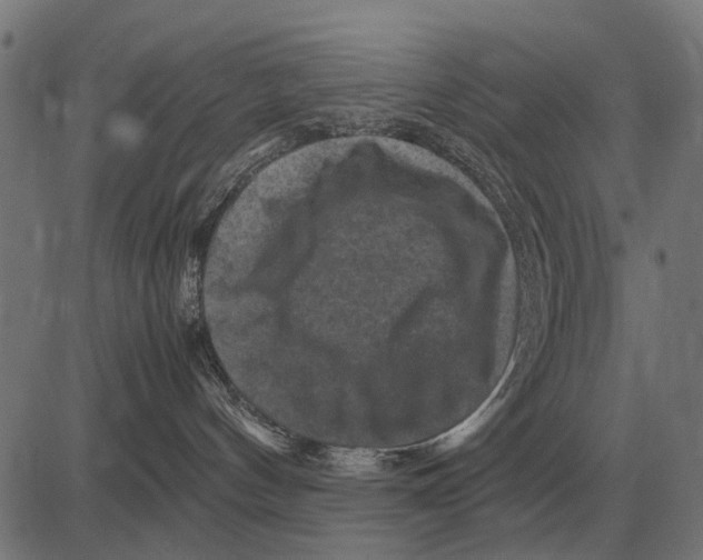 X0000081470144200702021841