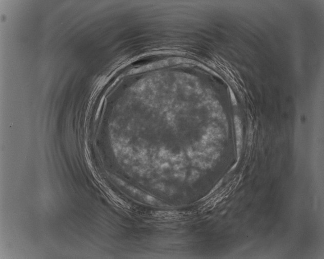 X0000081470145200702021841