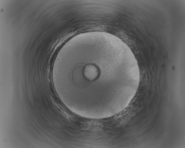 X0000081470146200702021841