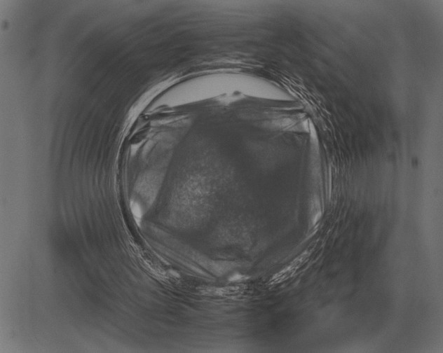 X0000081470147200702021841