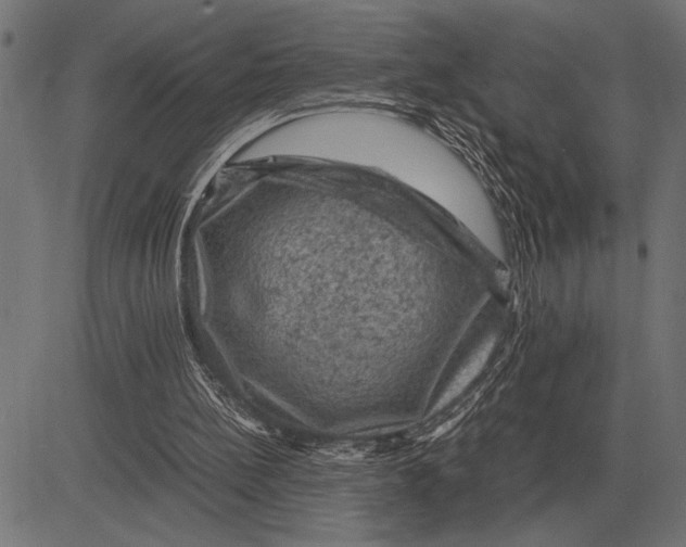 X0000081470148200702021841