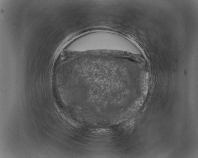 X0000081470151200702021841