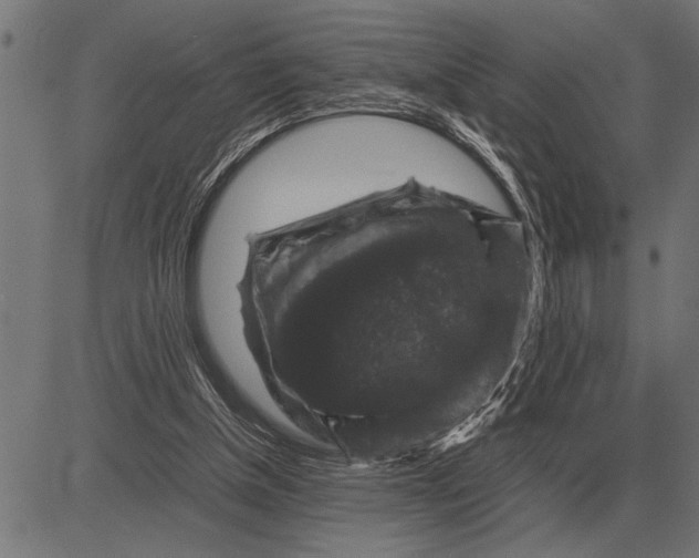 X0000081470154200702021841