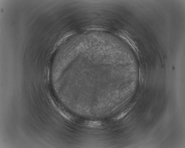 X0000081470157200702021841