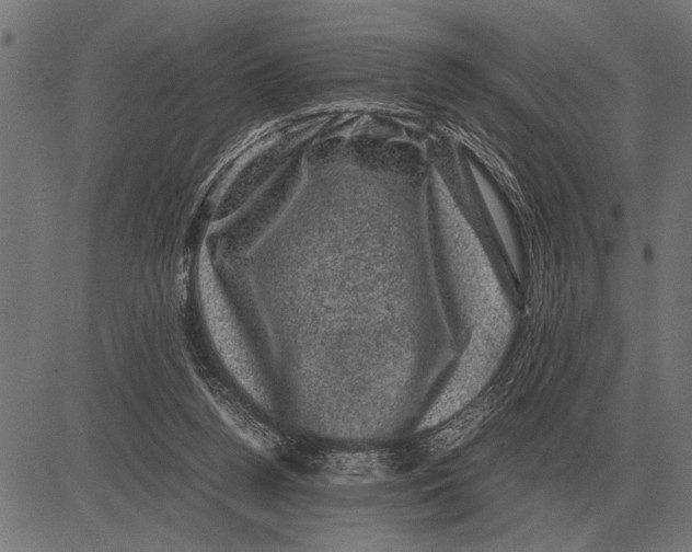 X0000081470160200702021841