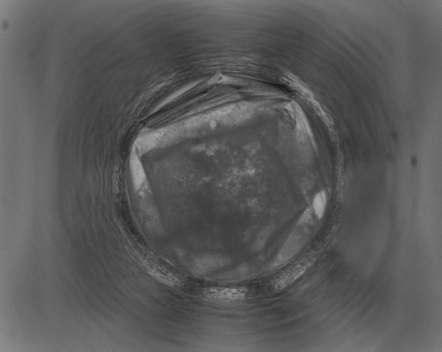 X0000081470161200702021841