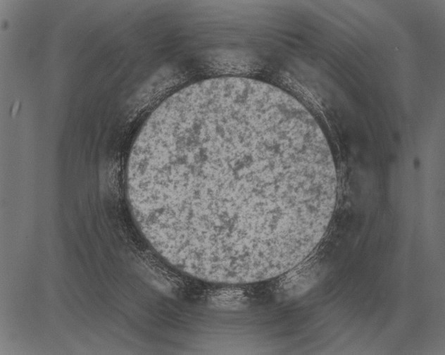 X0000081470162200702021841