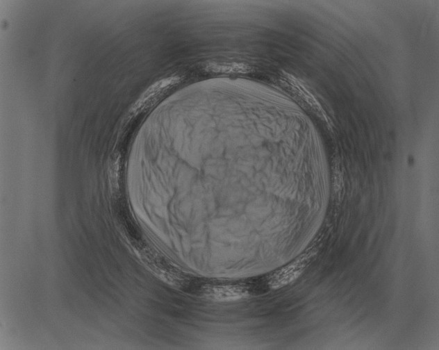 X0000081470163200702021841