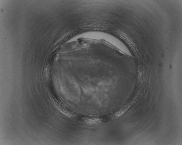 X0000081470165200702021841