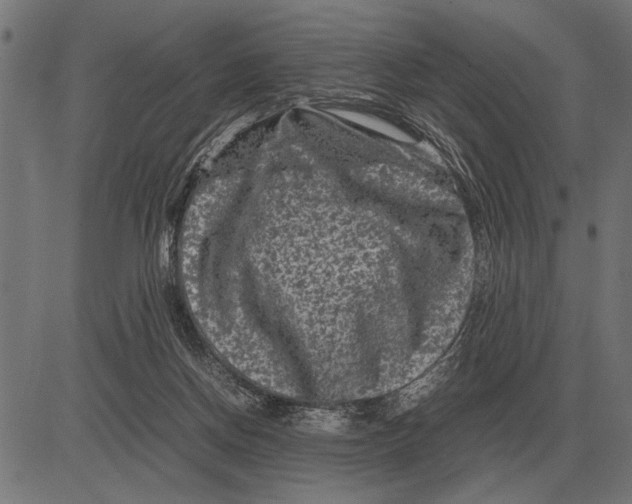 X0000081470166200702021841