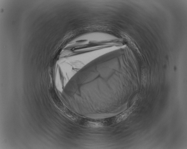 X0000081470167200702021841