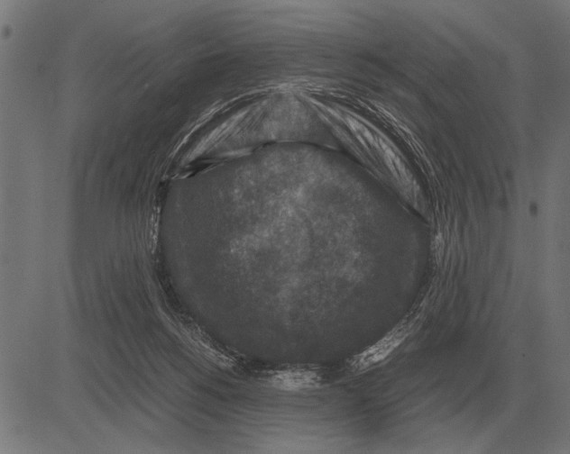 X0000081470168200702021841